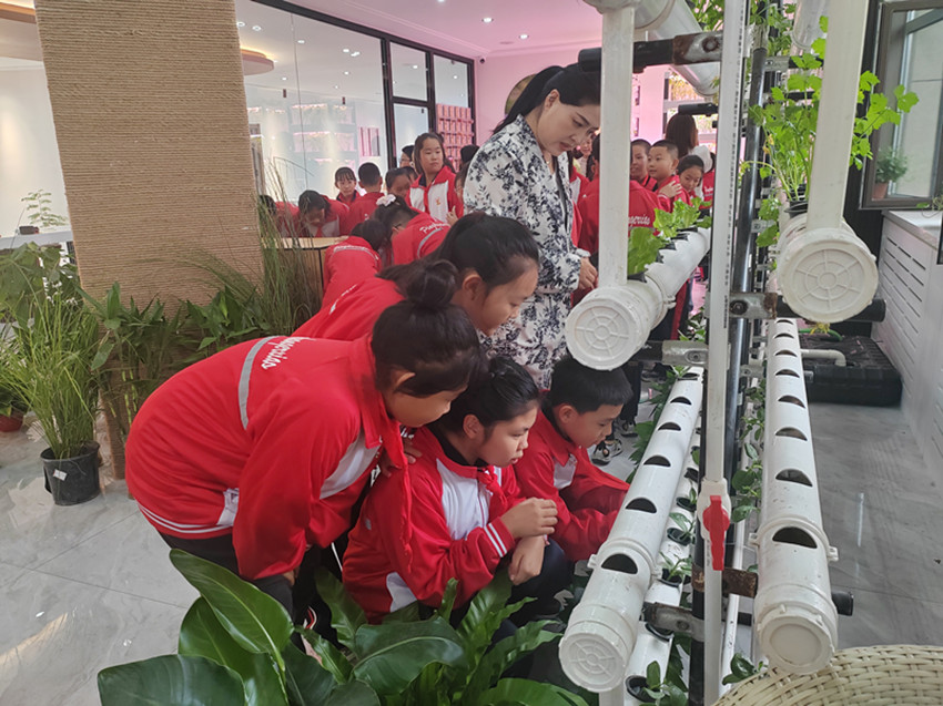 校社聯(lián)動種希望，科普同行育新苗 ——內(nèi)蒙古赤峰市元寶山區(qū)西城街道新景四季東社區(qū)關(guān)工委小學(xué)生科普實踐活動