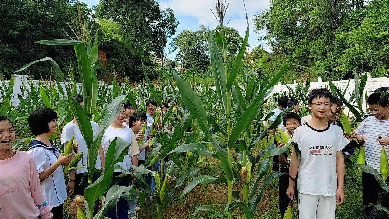 江西省贛州市于都縣羅江蘇坑小學(xué)關(guān)工委：責(zé)任田里玉米香 農(nóng)耕文化潤童心