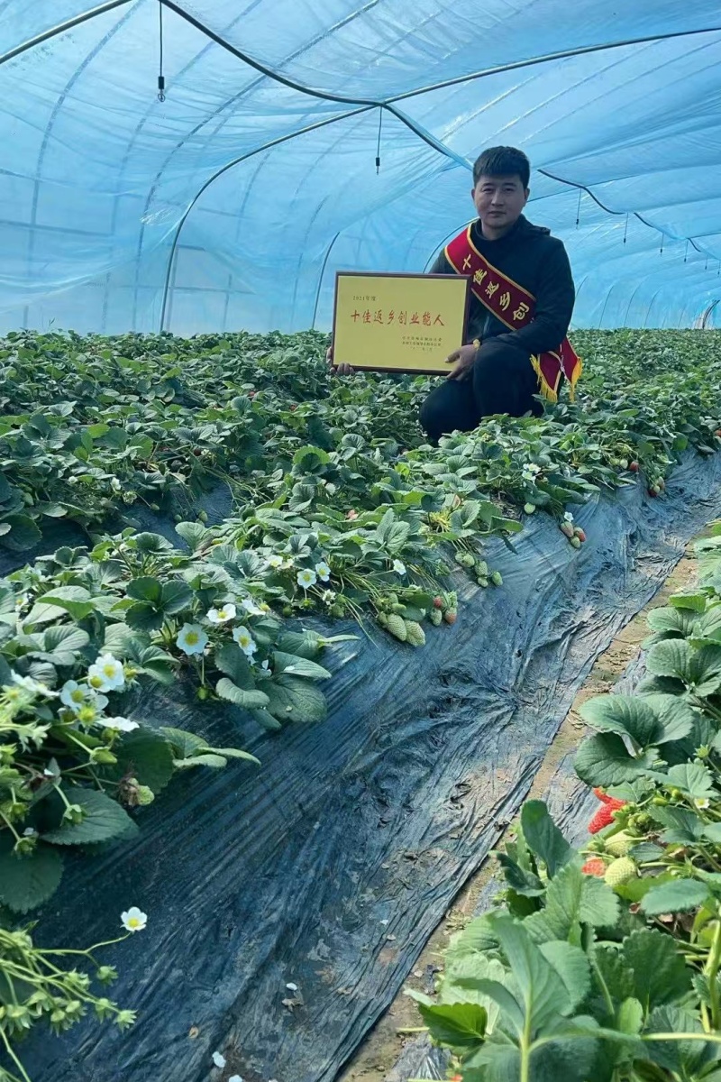 甘帶群眾致富的帶頭人——江蘇省徐州市銅山區(qū)關(guān)工委幫扶青年“創(chuàng)業(yè)之星”楊國強側(cè)記