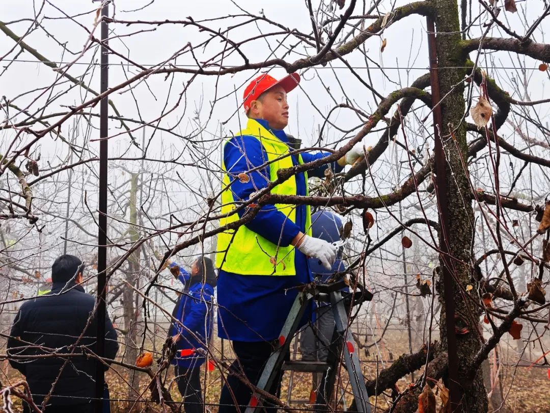 1704728440338015.jpg 640 (1).jpg