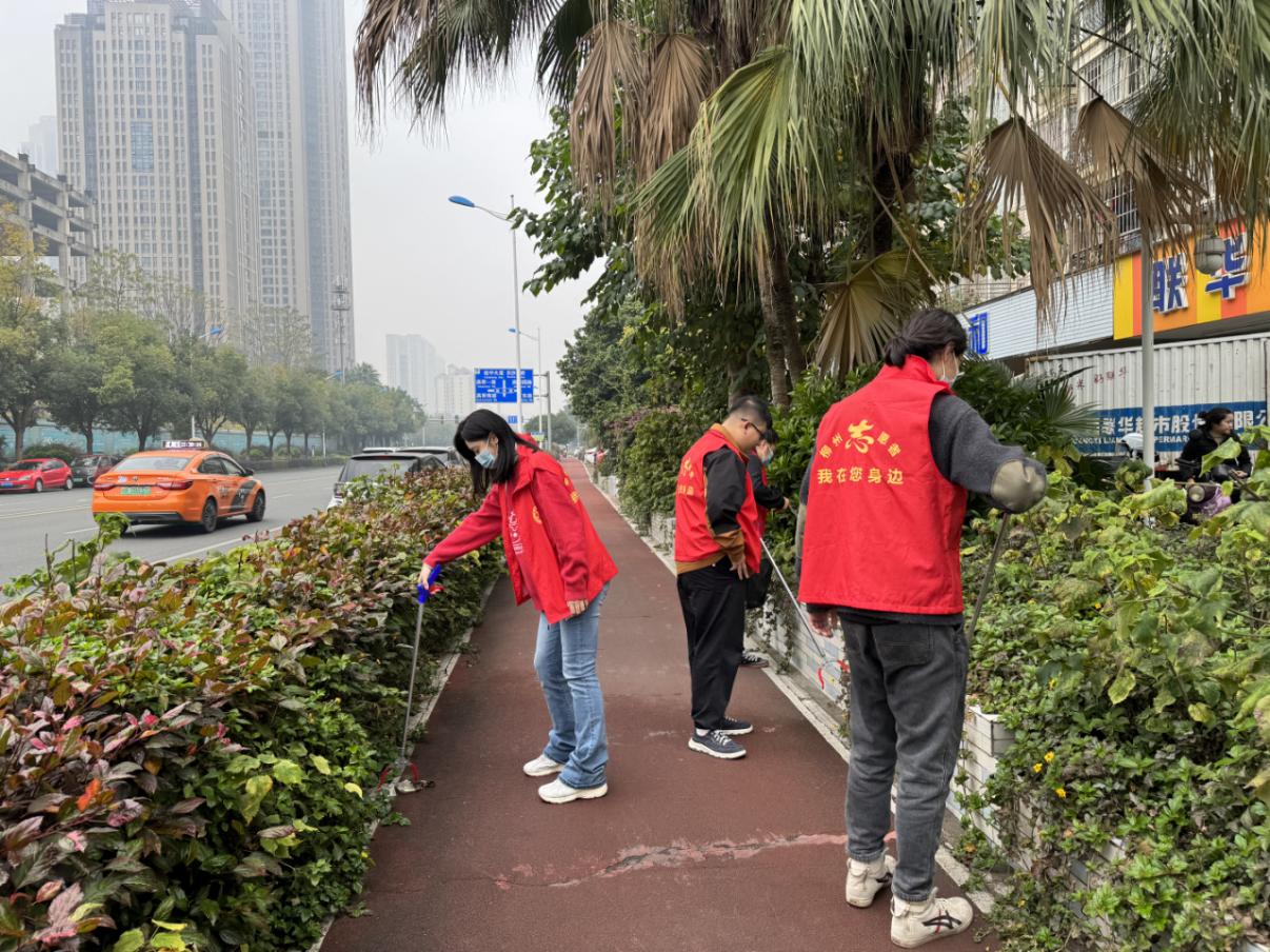 1704926709781649.jpg W020240110674275315009.jpg