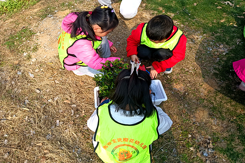 玄武湖街道櫻駝花園社區(qū)關(guān)工委聯(lián)合開展“綠趣園，悅成長(zhǎng)”植樹節(jié)主題活動(dòng) (5).jpg