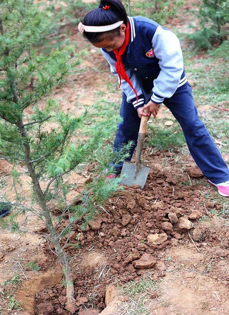 江蘇省南京市玄武區(qū)玄武湖街道關(guān)工委聯(lián)合組織開(kāi)展“手植一株‘綠’，‘心’栽一片林”植樹(shù)節(jié)活動(dòng) (4).jpg