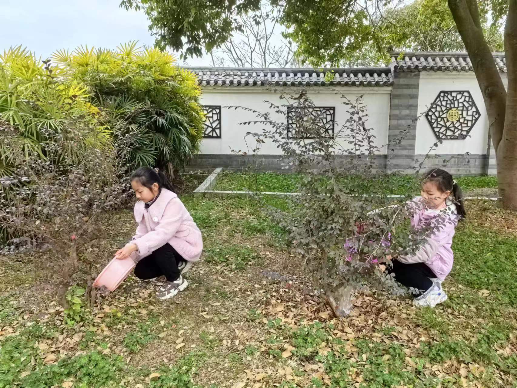 1710378067808345.jpg 4.jpg