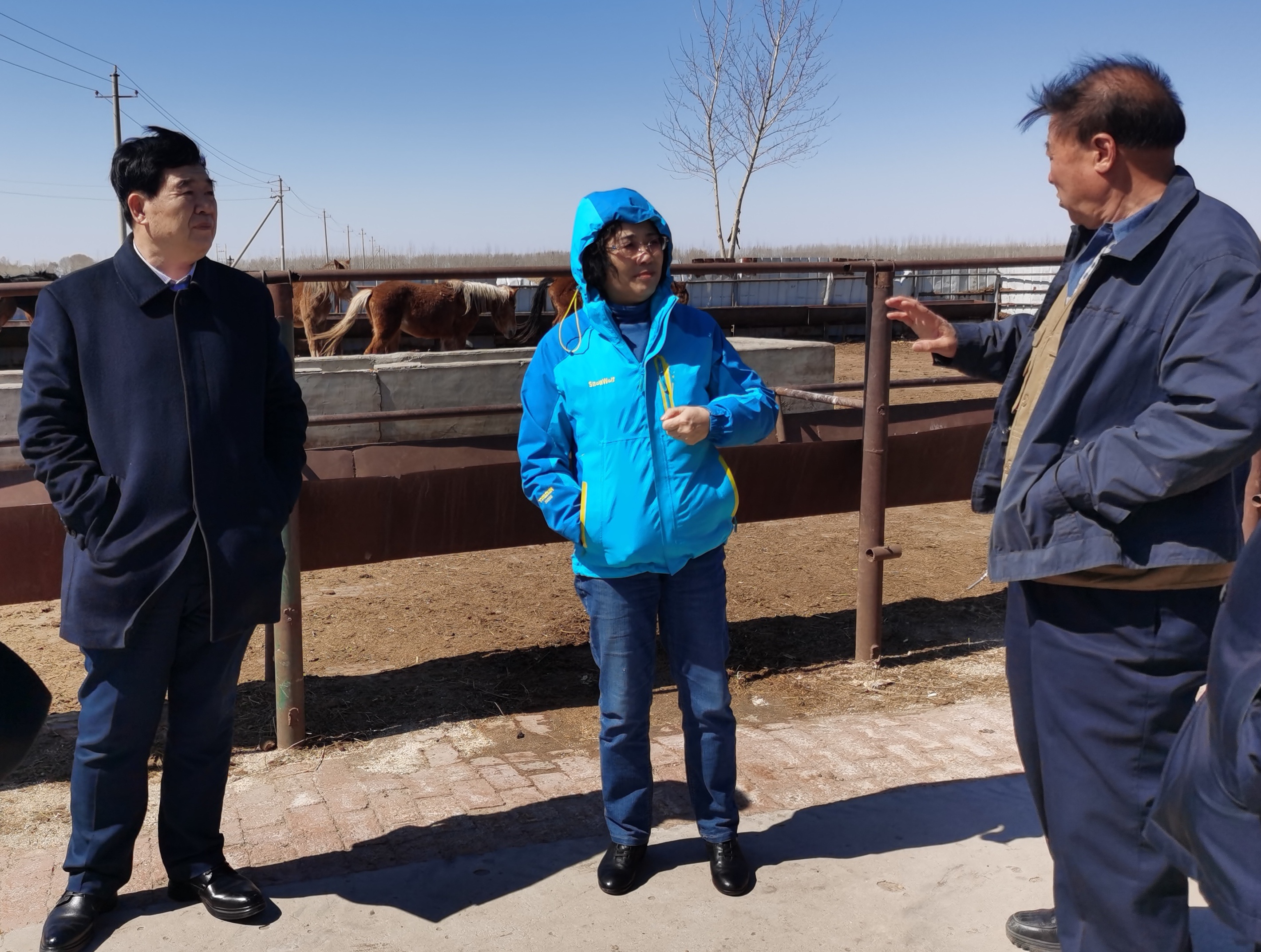 1712613173670307.jpg f.jpg