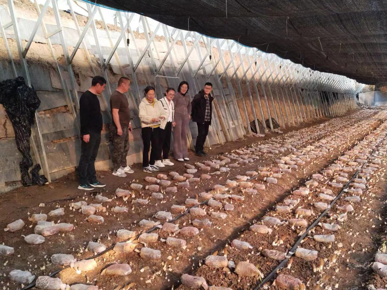 1713619364979704.png 圖片3.png