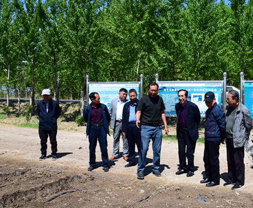 1715294590369085.jpg DSC_0348.JPG