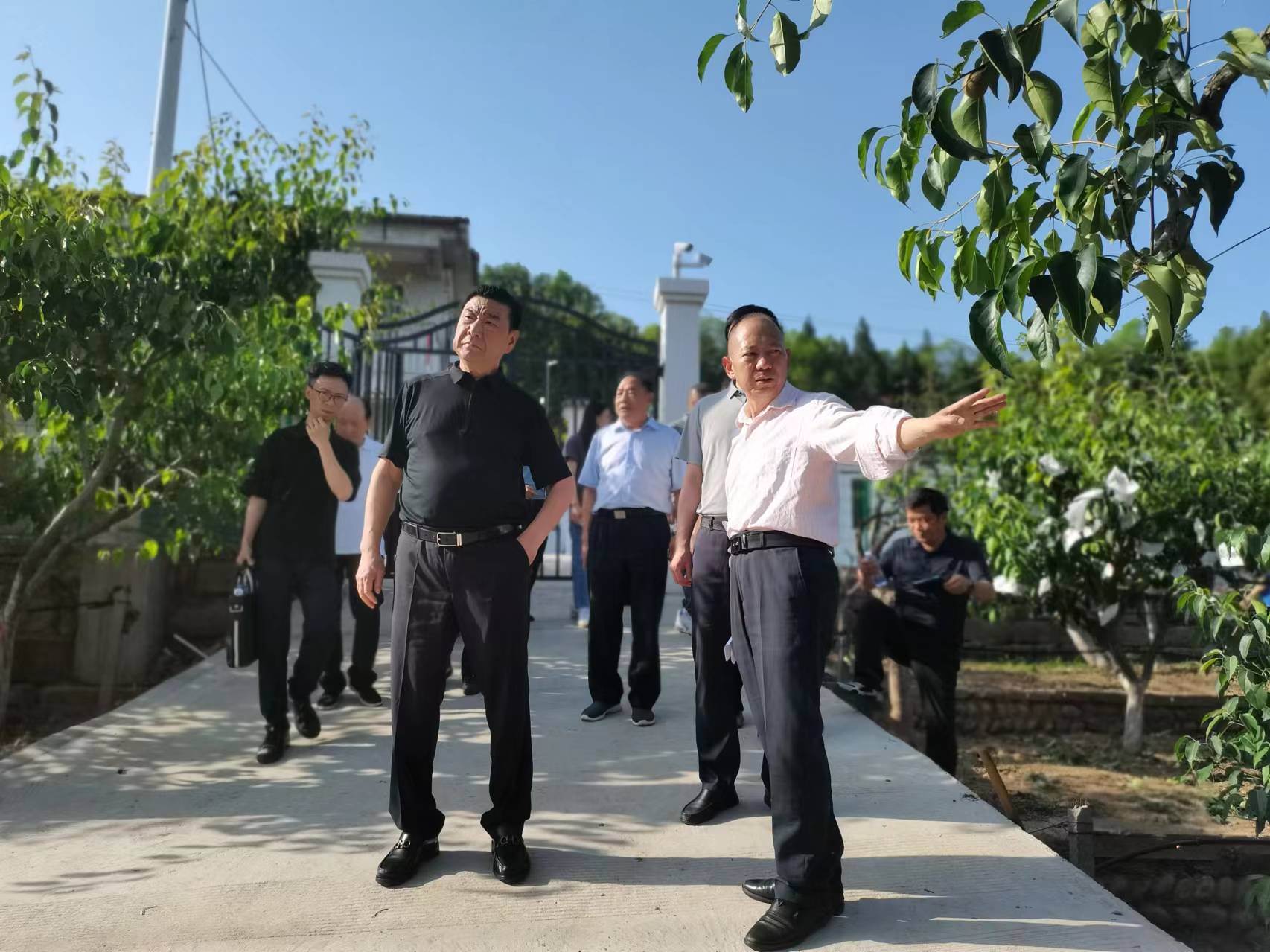 1715761711855841.jpg 001.jpg