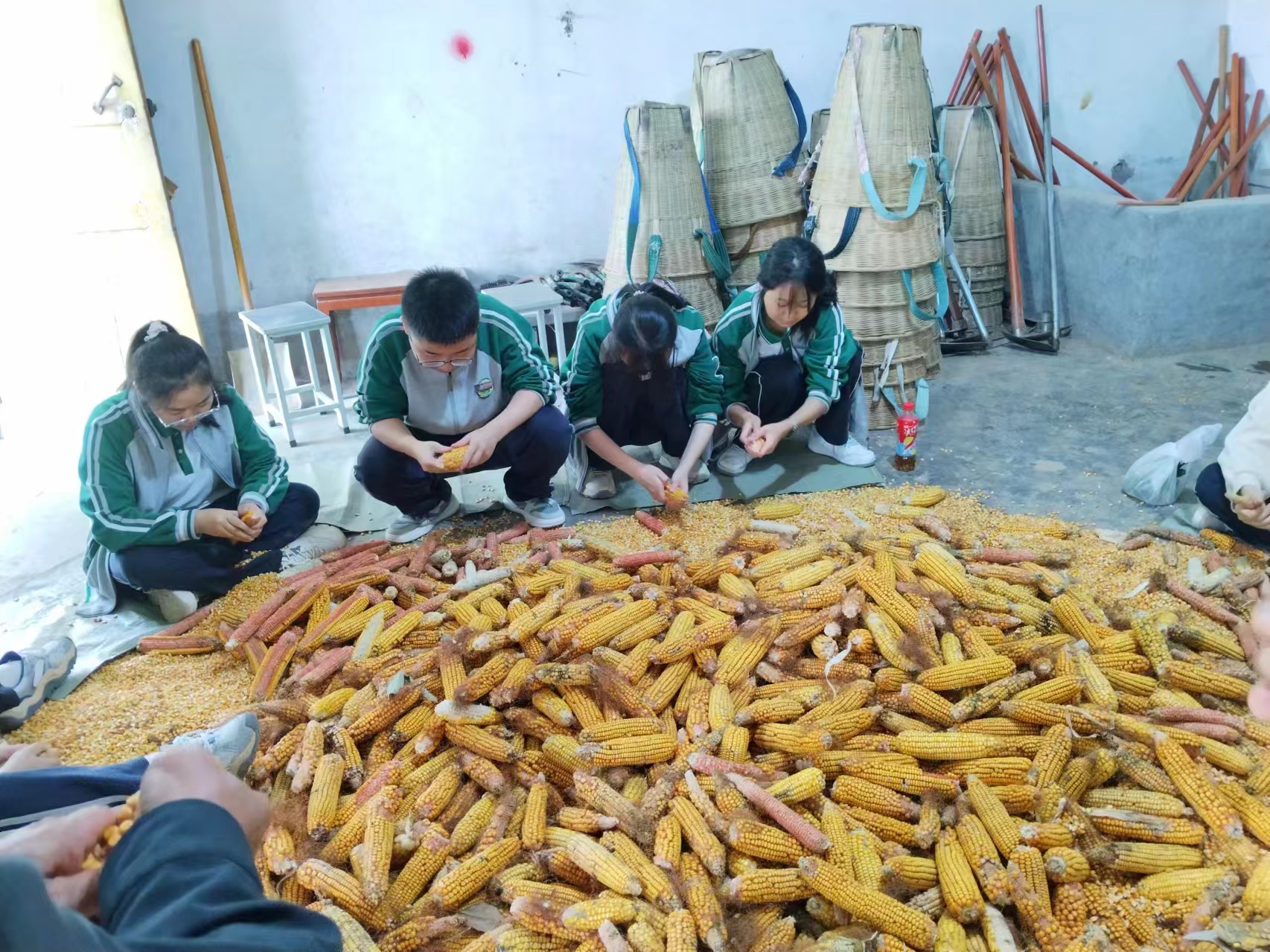 1728614769183864.jpg 城3.jpg