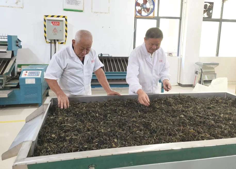 1731545438774293.jpg 1.jpg