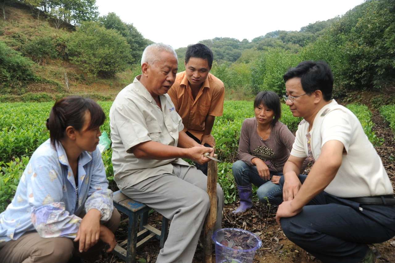 1731545587241215.jpg 2.jpg