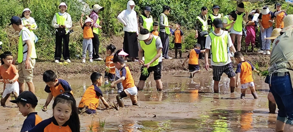 1744941940949886.jpg 10.20250418095814.jpg