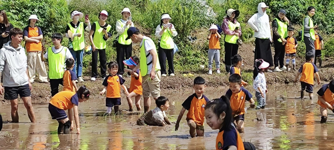 1744941955763298.jpg 00 20250418095757.jpg