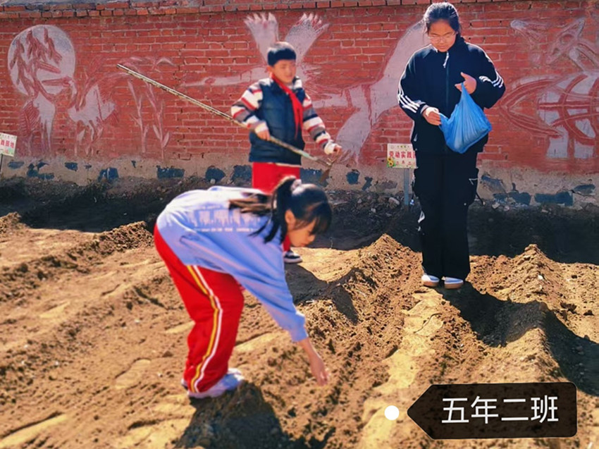 元寶山區(qū)馬蹄營子小學(xué)快樂春耕，播種希望活動(dòng)照片8_副本.jpg