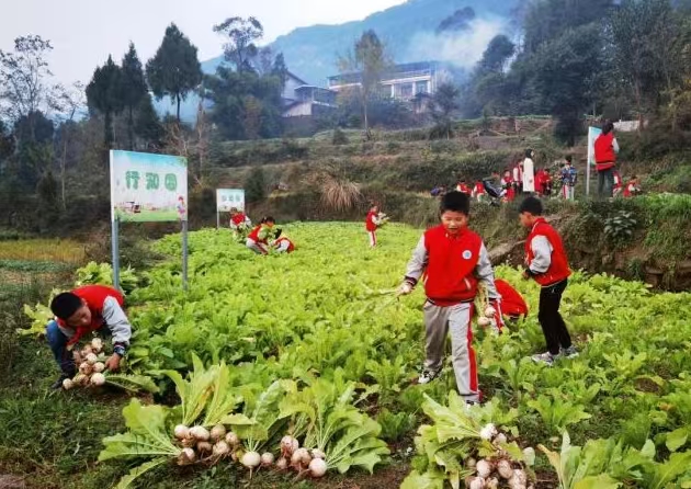 1748932807341474.jpg 2.jpg