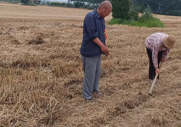 1749538221105314.png a3cec79c5932845563a516996628310.png