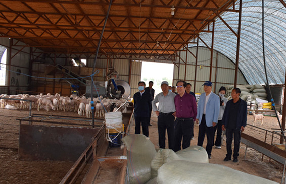 1749819802725975.jpg DSC_0281.JPG