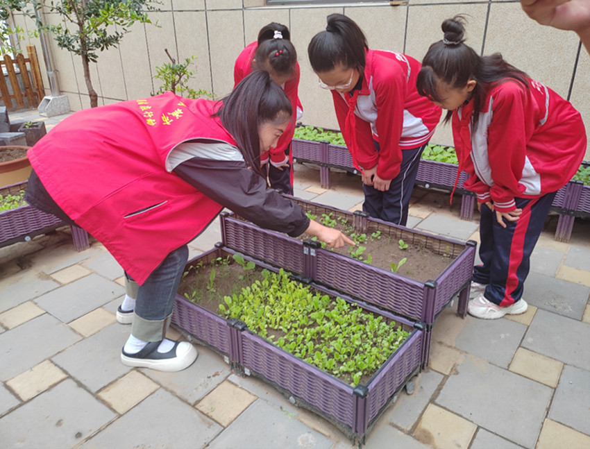 元寶山區(qū)平莊西城街道新景四季東社區(qū)、西城小學(xué)關(guān)工委開展校社聯(lián)動播種希望，科普同行共育新苗活動照片4_副本.jpg