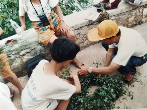 1751443587129796.jpg 9b4f8855de6a0097eb85bdec42945a5_副本.jpg