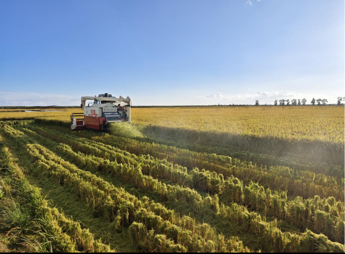 1757656479363874.jpg 08ee3d91e032a0634b225f04d6f8c49.jpg