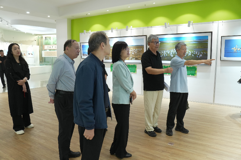 1759111517204837.png 11.png