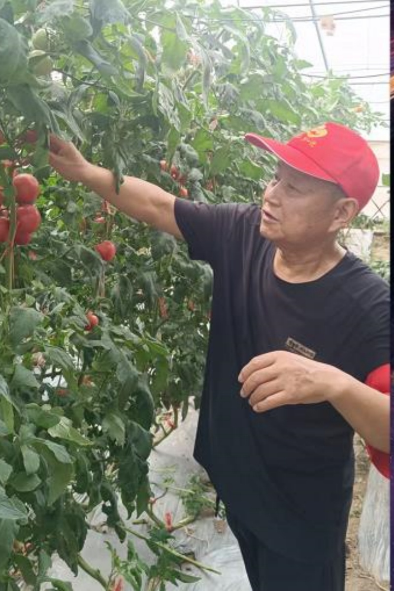 1760065548457409.jpg 0002.jpg