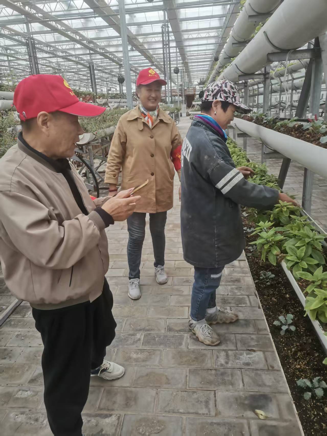 1760165809285476.jpg fdcda286bea24ff0413feeb568432f2.jpg