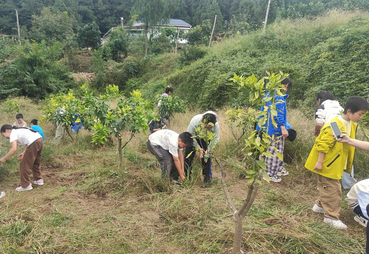 1760941701611885.jpg 微信圖片_20251020142017_4_17.jpg