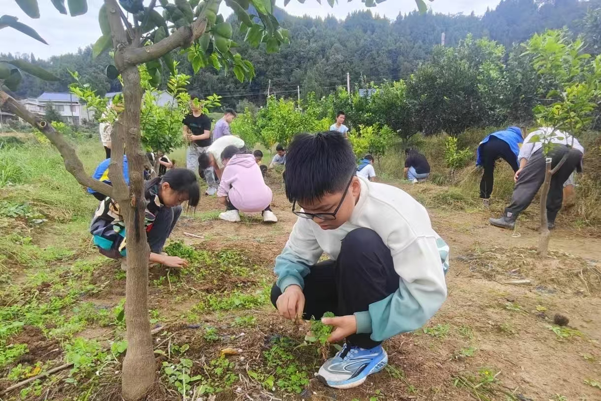 1760942192351804.jpg 微信圖片_20251020143124_9_17.jpg