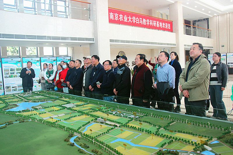 1762353387394896.png 圖片4.png