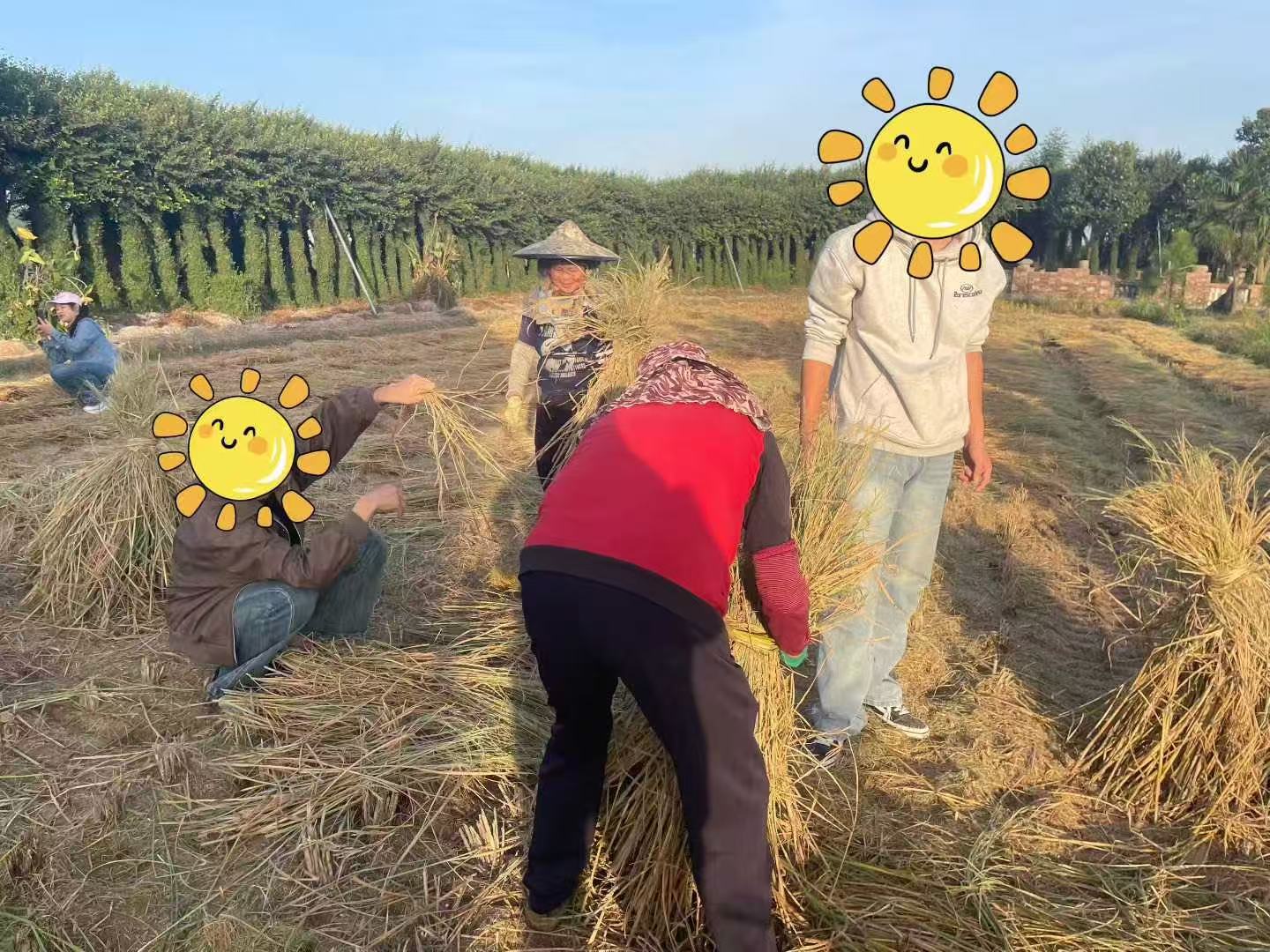 1764319505399893.jpg 38b44c89b1711968b05bd6cf8585d1cd.jpg