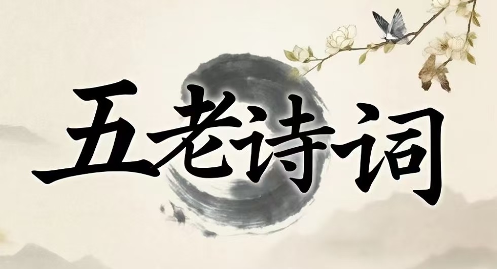 1767841194284653.jpg bff9c115a741b10c556ca1b497efc973.jpg