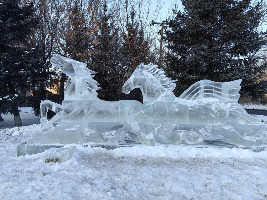 1767859786496977.jpg 趙圖1.jpg