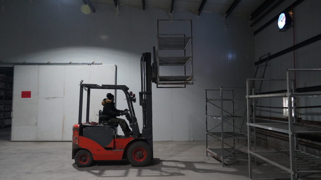 1767926925637992.png 3.png