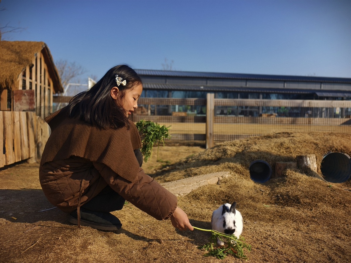 1768354588447600.jpg 1768354588447600.jpg