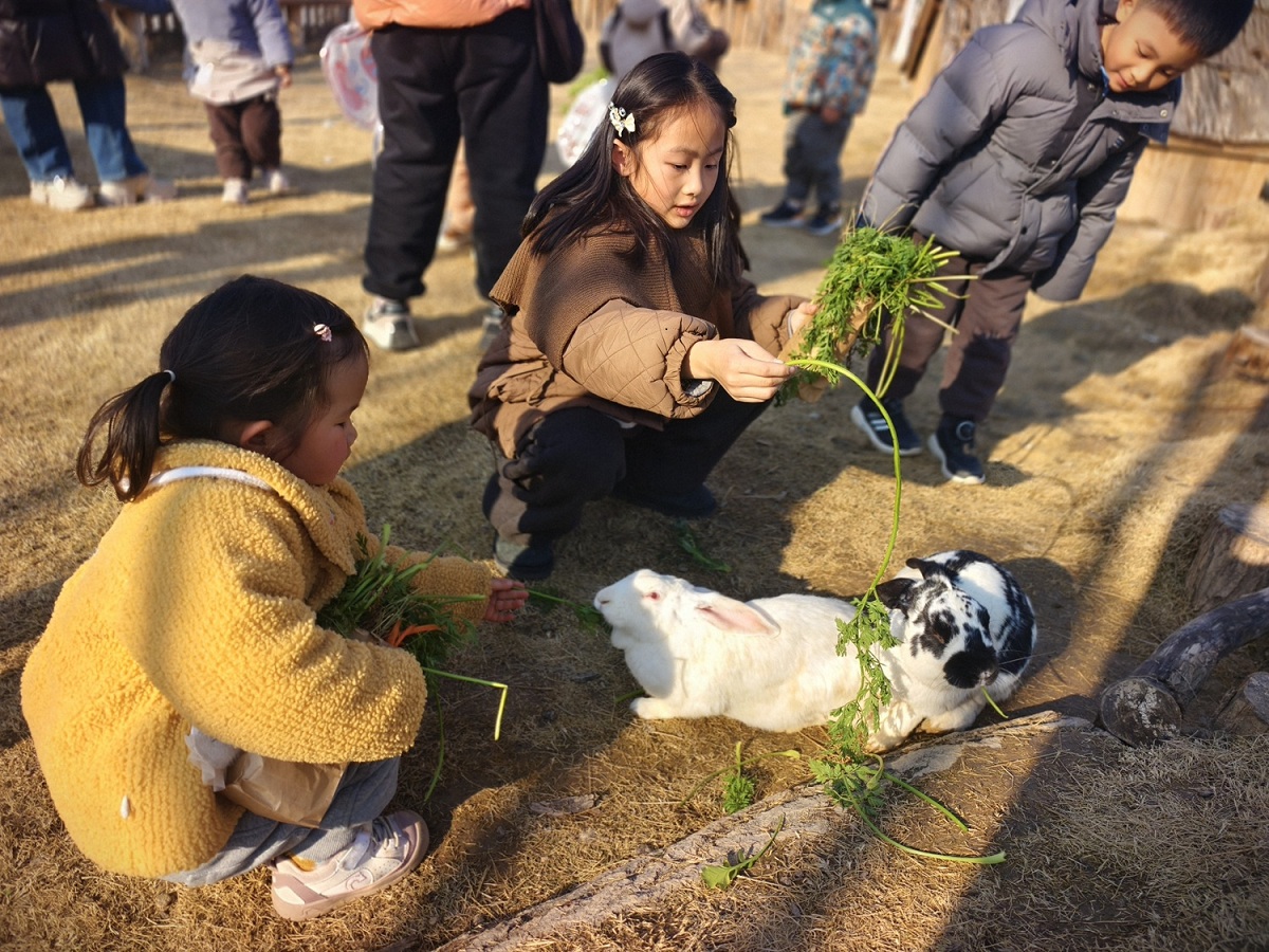 1768354594416835.jpg 1768354594416835.jpg