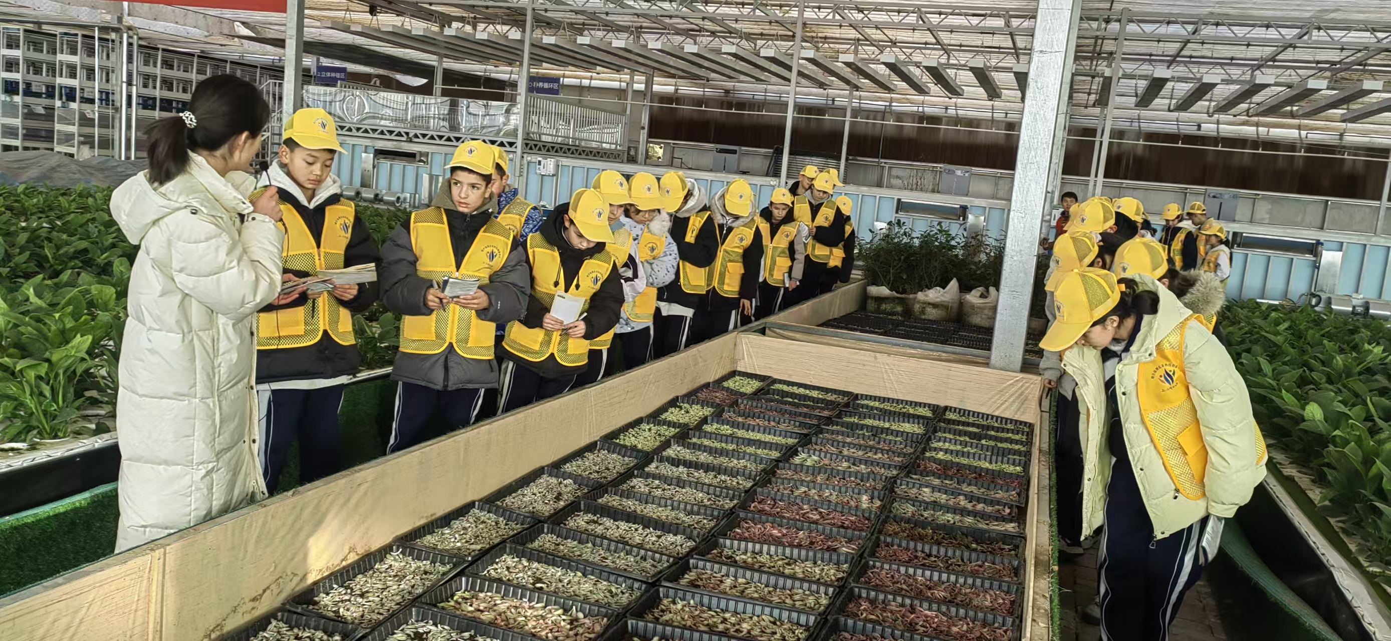 1768567087407030.jpg 微信圖片_20260116202029_641_7.jpg