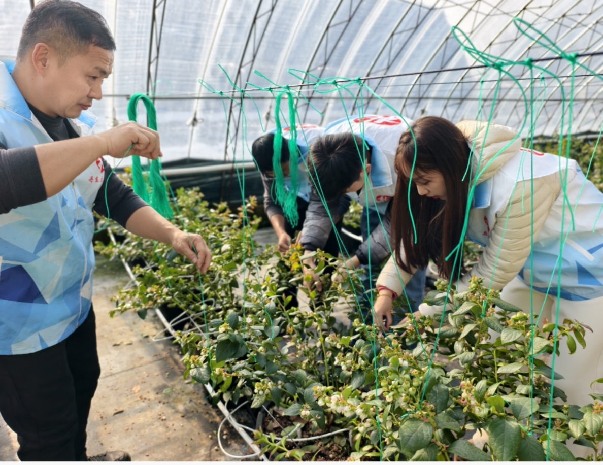 1768889134237224.jpg IMG_20260120_140445.jpg