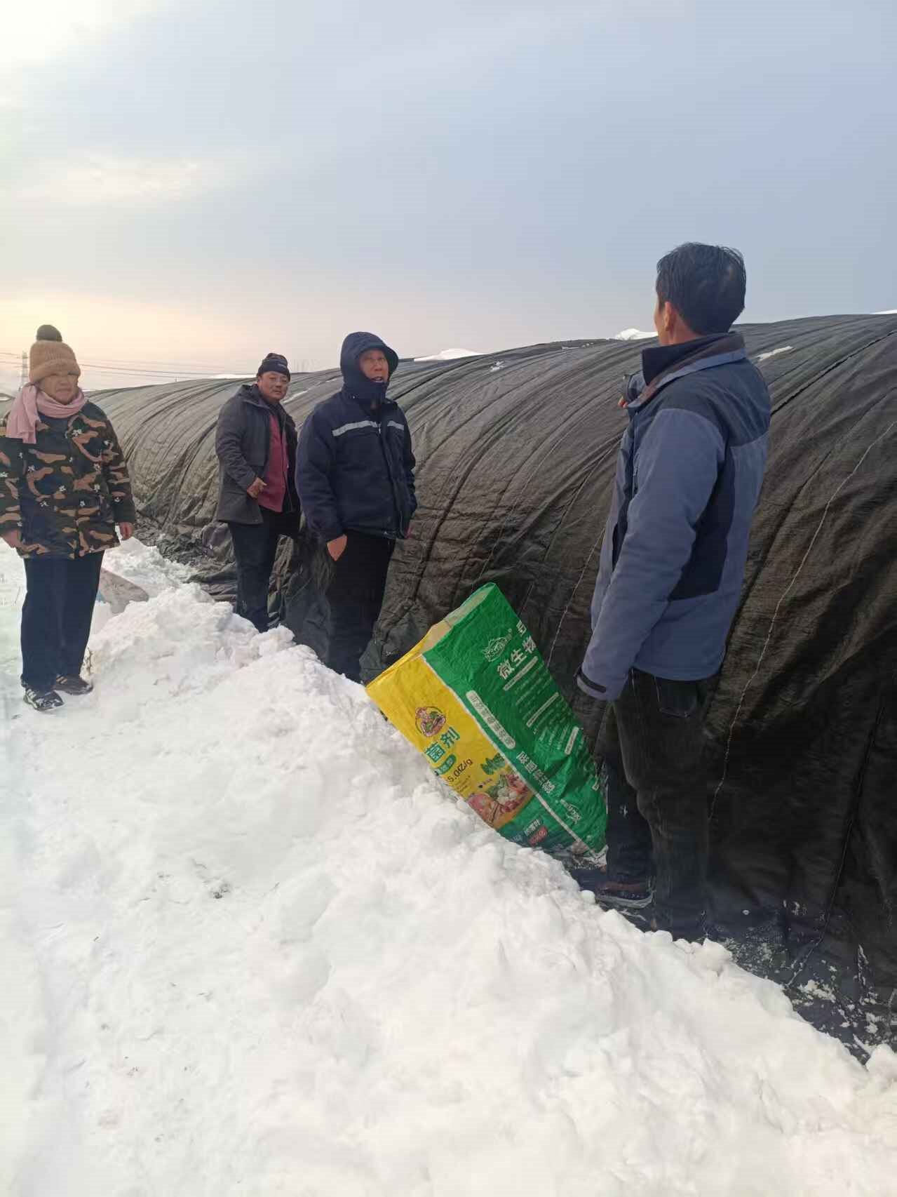 1768899646239069.jpg f297d476458b2f443452d7bfccd59529.jpg