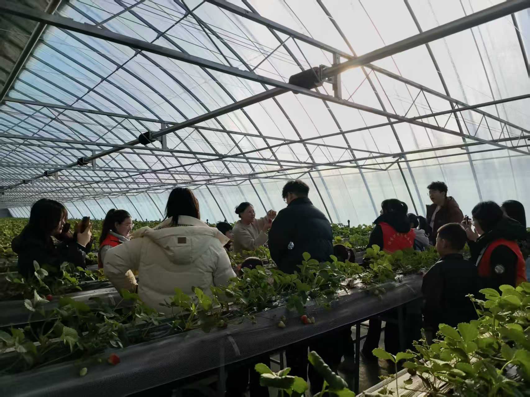 1769499066719898.jpg 微信圖片_20260127152826.jpg