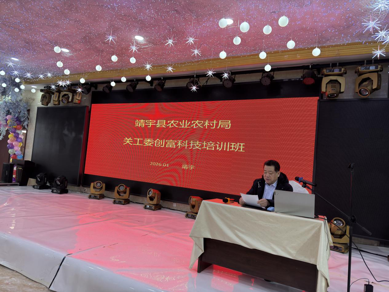 1769581271531799.png 圖片2.png