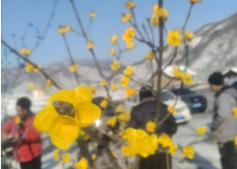 1770166116398080.png 17.png