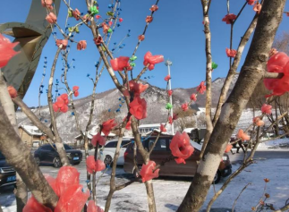 1770166149704086.png 19.png